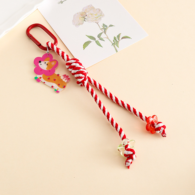 Phone Lanyard Dopamine-Colored - огляд і ціна Ysl Phone Accessories